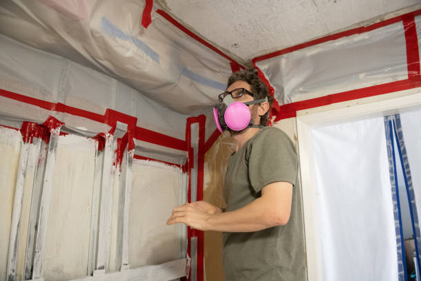 Hellertown, PA Mold Inspection, Removal & Remediation Company